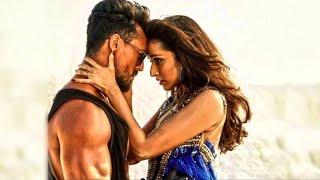 شاب ياحمي اخوه و تحبه فتاة من اول نظرة | ملخص فيلم Baaghi 3 2020