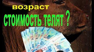 Ленивый фермер продаёт хозяйство организует экотуризм в селе