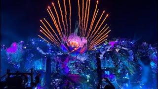 Tomorrowland 2024 / Flower Opening Mainstage