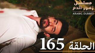 الحلقة 165 | مسلسل زهور الدم | مدبلج بالعربية | Kan Çiçekleri