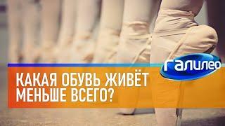 Галилео  Какая обувь живёт меньше всего?