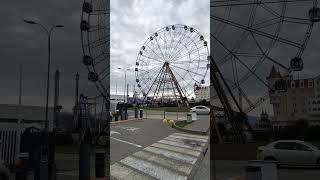 Сочи парк  #красота #сочипарк #олимпийскийпарк #атракционы #адлер #сочи