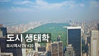 #도시생태학_#도시역사TV 20