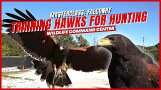 Ready for the Hunt | Wildlife Command Center - Ep. 4