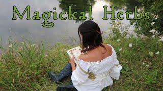 Ten  Essential Herbs for Green Witchcraft - A Beginner's Guide