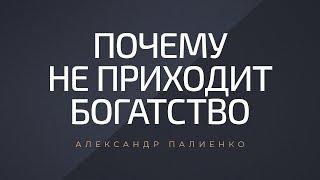 Почему не приходит богатство. Александр Палиенко.