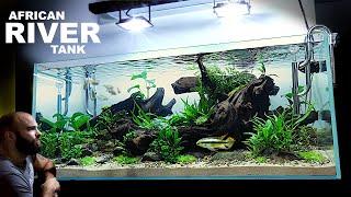 The African River Aquarium: EPIC Aquascape Tutorial w/ Kribensis Cichlid & Congo Tetra