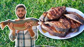 Cooking Big SALMON on a FIRE in the Village. ASMR Cooking