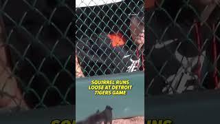 It went into the dugout  #shorts