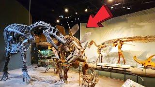 Museum of Nature & Science Denver Colorado Full Tour 2024