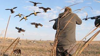 Chasing DUCK FEEDS Up North