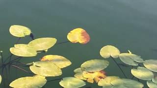 National Park in Turkey: Lake Abant