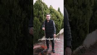 ناشتنی نەمامێک بۆ گیانی پاکی وریا حەمە کەریم