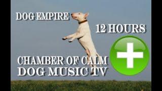 Dog Relax, Music Television Therapy. Music Specific for dog family relaxation 12 hours .