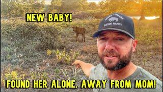 Found Baby Alone! + Truth About Our Business!