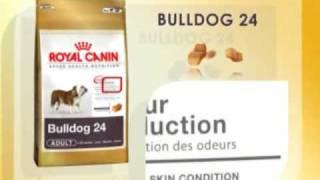 Royal Canin Bulldog Nutrition