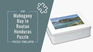 Timelapse of a Puzzle From a Photo I Took During My Visit to Mahogany Bay In Roatan Honduras | V187