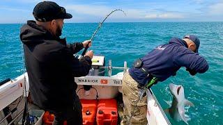 Boat Fishing UK - Fishing for Sharks in The Solent | The Fish Locker