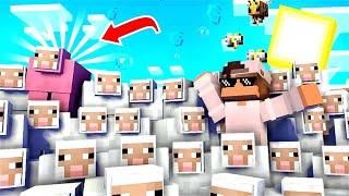 How Rare is it to Find Pink Sheep in Minecraft!