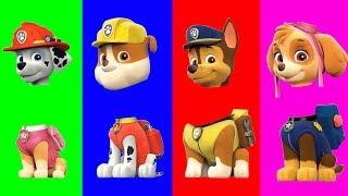 Wrong Heads in Paw Patrol