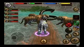 ultimate jungle simulator tiger vs giant anaconda boss 