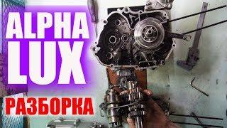 Alpha - Lux ( РАЗБОРКА ) | Мопед Альфа | Ремонт Мопеда