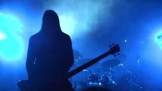 PAIN - Monkey business ( LIVE BUENOS AIRES ARGENTINA 2012 )