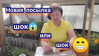 Новая посылка от ,,6 соток на Урале,,