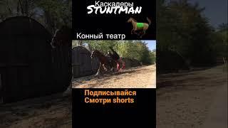 #каскадер #stuntman #horse #cossack #конныйтеатр #трюки #trick #trickshots #козак #джигитовка