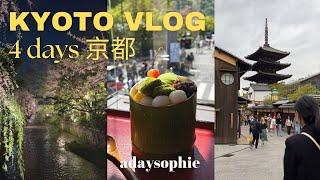 4 days in Kyoto vlog  Arashiyama & best foods