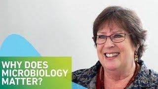 Why does microbiology matter?
