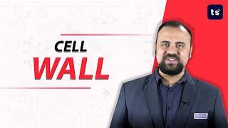 Cell wall | Biology | Cell | Cellulose | Protection | Support