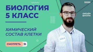 Химический состав клетки. Урок 9. Биология 5 класс