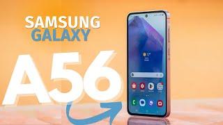 ¡El Samsung A56 Es El MEJOR Teléfono Calidad-Precio del 2025!