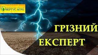 Грізний Експерт у боротьбі з бур'янами від Нертус