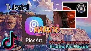 How to make clear/transparent profile picture on Tiktok - Tutorial | PicArts |