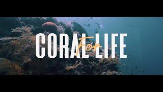 Coral For Life (ft. Eunike Fersa) [WWF-Indonesia & EPSON]