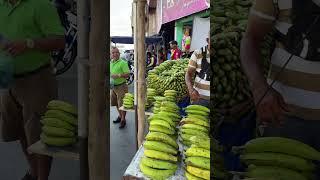 Sonidos de Maracaibo  #maracaibo #zulia #venezuela