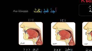 2 курс. Урок 21. Одинарные сыфаты. Аль-Къалькъала