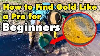 Gold Panning Unveiled for Beginners to Strike Gold with Confidence