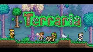 Я вернулся! Прохожу Terraria на мастере за класс воина!