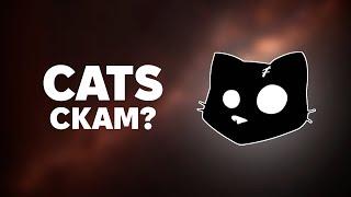 МЕМ CATS СКАМ? - РОЗРОБНИКИ ВІДРЕАГУВАЛИ