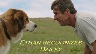 A Dogs Purpose - Ethan recognizes Bailey (HD)