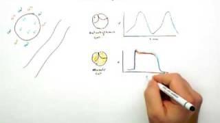 Stress Testing (Treadmill Test) Part 1