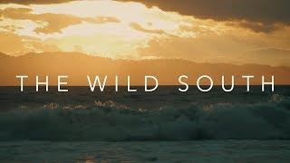 THE WILD SOUTH - Orion Eshel Film