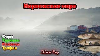 В ПОИСКЕ МОРСКИХ ТРОФЕЕВ | НОРВЕЖСКОЕ МОРЕ | РУССКАЯ РЫБАЛКА 4 | СТРИМ