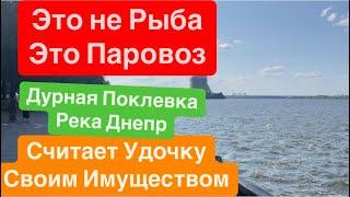 Эта Рыба Утащит УдочкуМощная Поклевка Речного МонстраКамера Засняла ЧУДО РЫБУРека Днепр