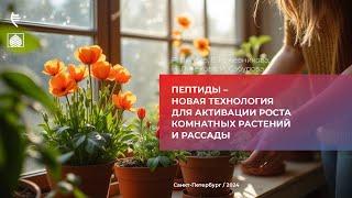 Пептиды – новая технология для активации роста комнатных растений и рассады