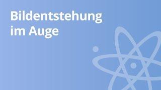 Physik: Bildentstehung im Auge - physikalischer Hintergrund | Physik | Optik