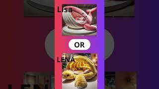 LISA OR LENA #shorts#shots#lisa#lena#treddding#viral